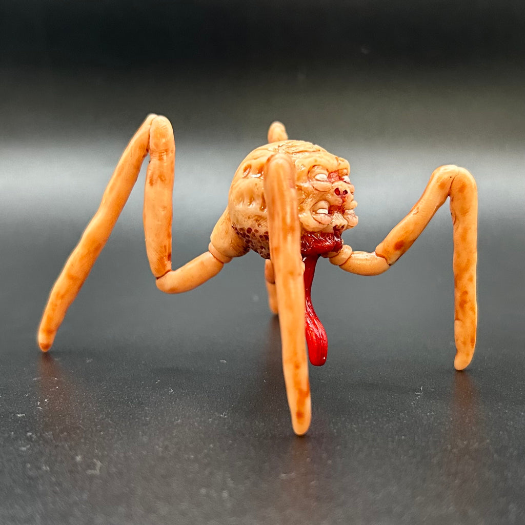 SPECIMEN 001 "Harold"