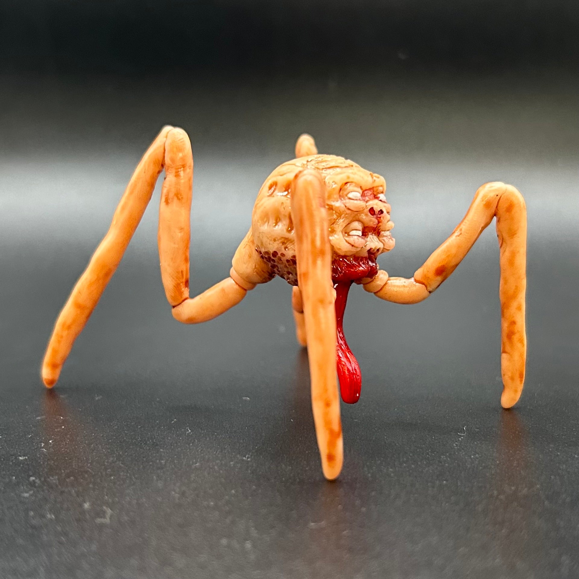 SPECIMEN 001 "Harold"