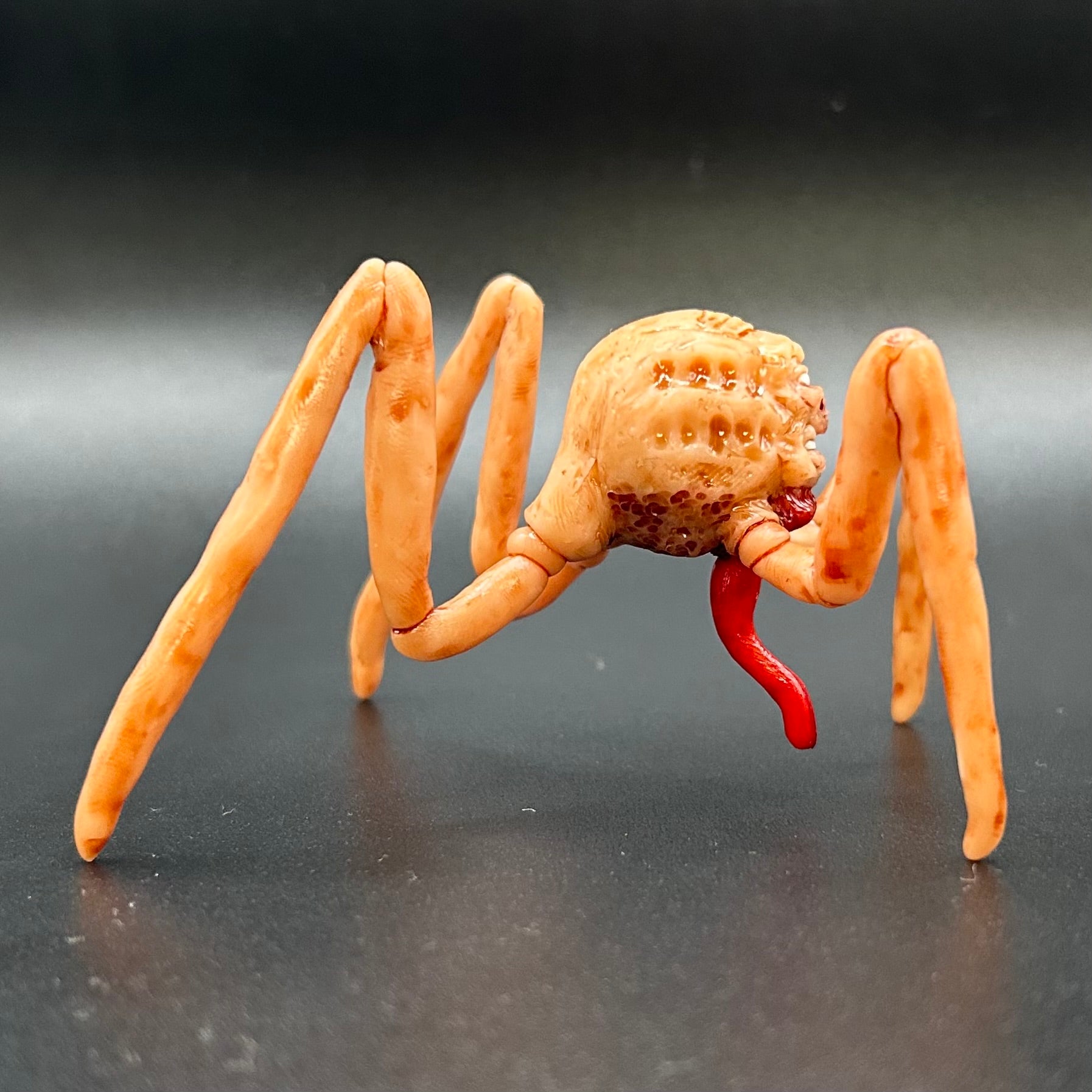 SPECIMEN 001 "Harold"