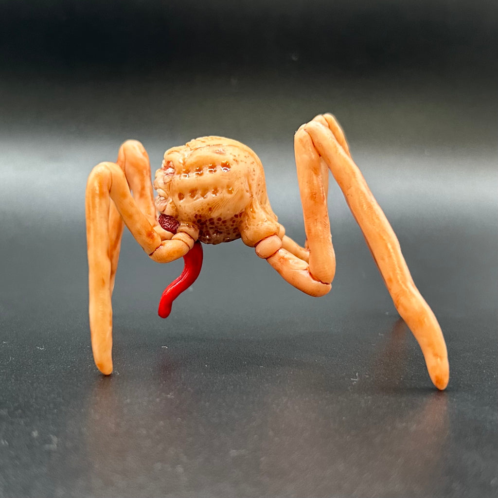 SPECIMEN 001 "Harold"