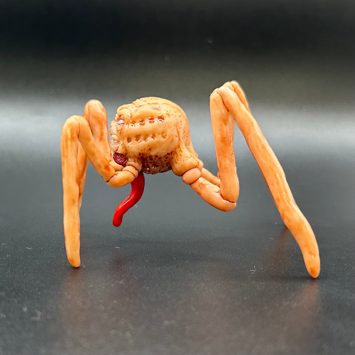 SPECIMEN 001 "Harold"
