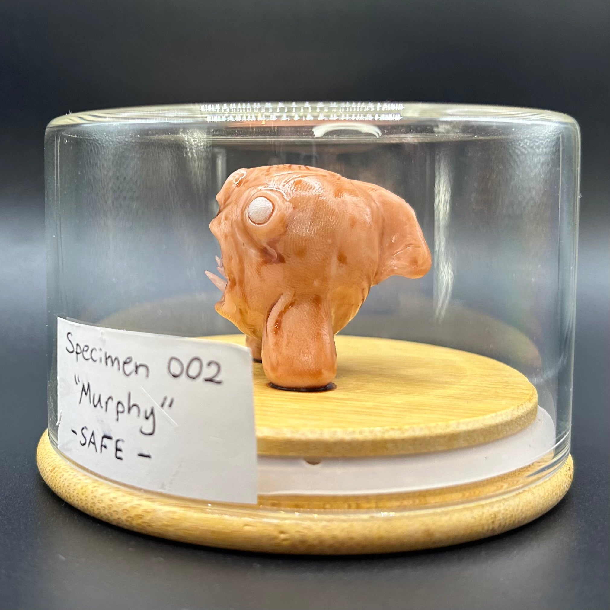 SPECIMEN 002 "Murphy"