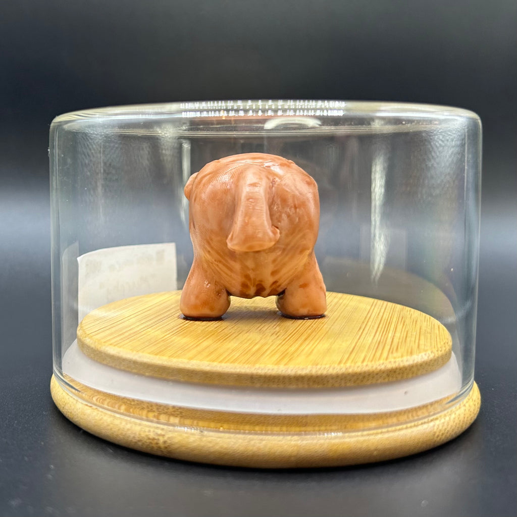 SPECIMEN 002 "Murphy"