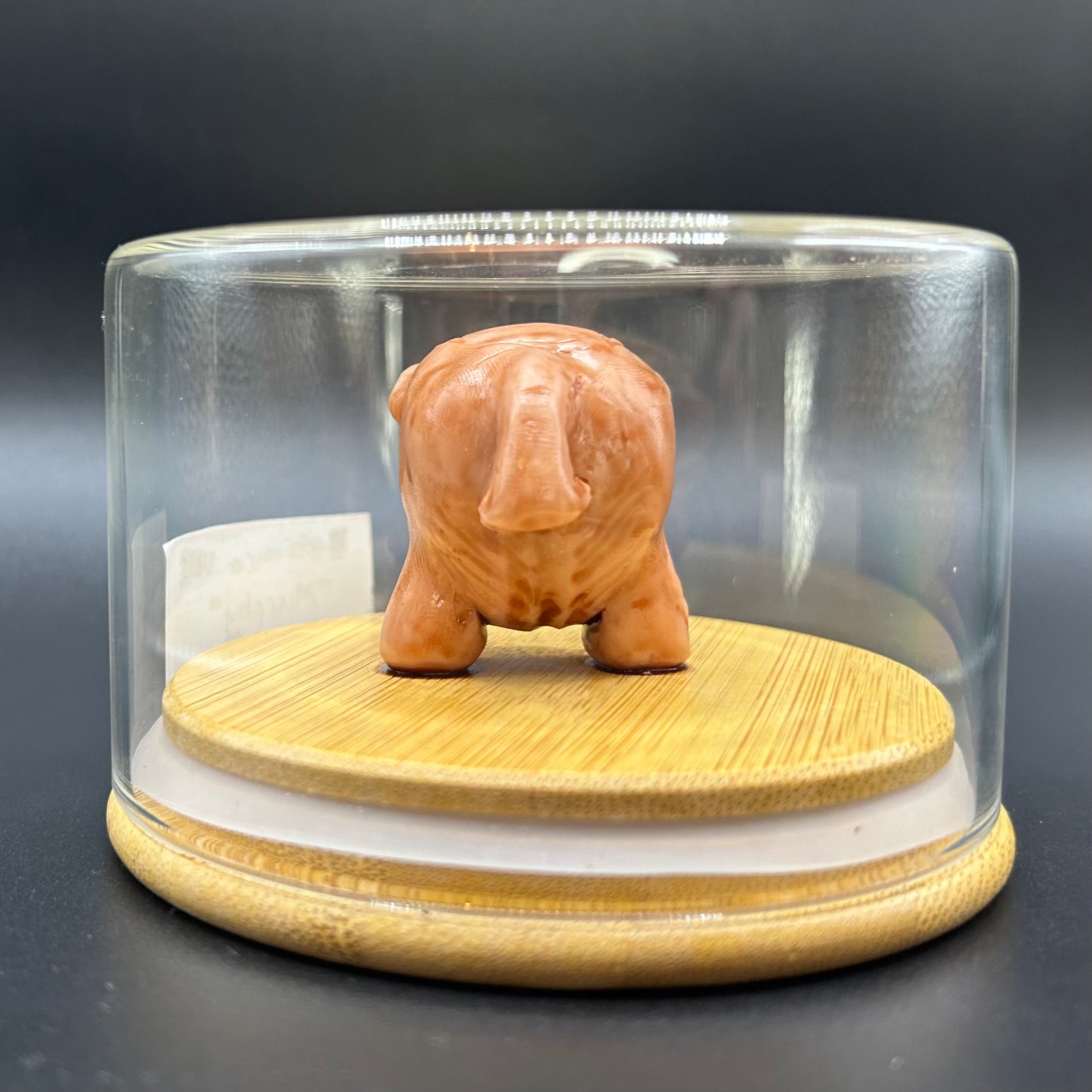 SPECIMEN 002 "Murphy"
