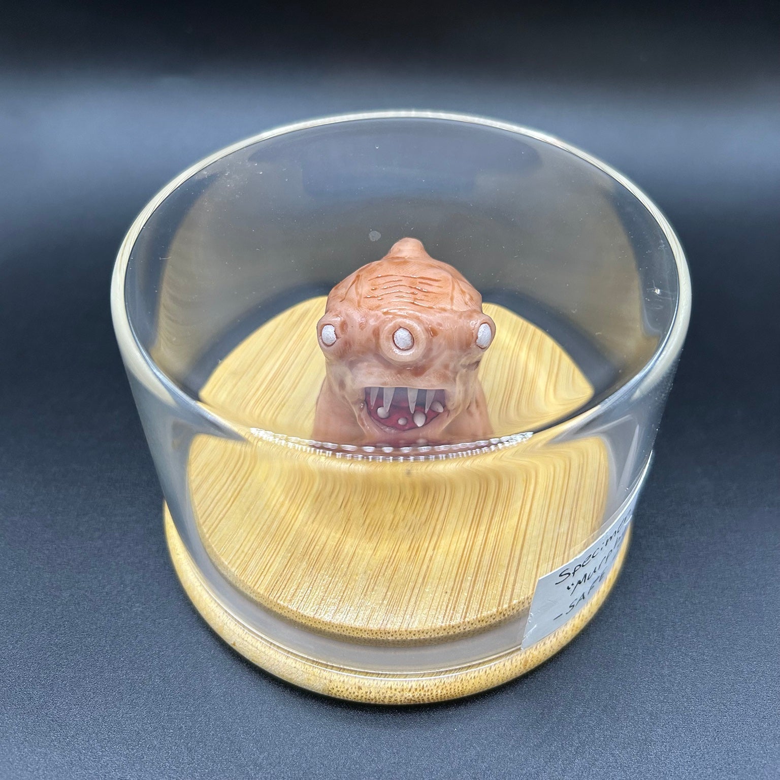 SPECIMEN 002 "Murphy"