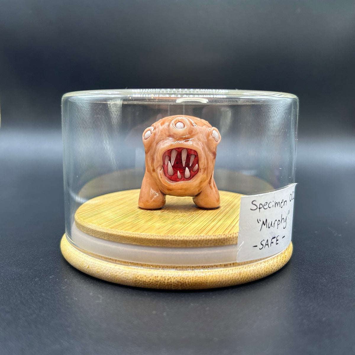 SPECIMEN 002 "Murphy"